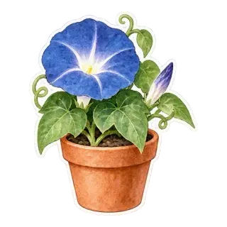 blue asagao pot sticker